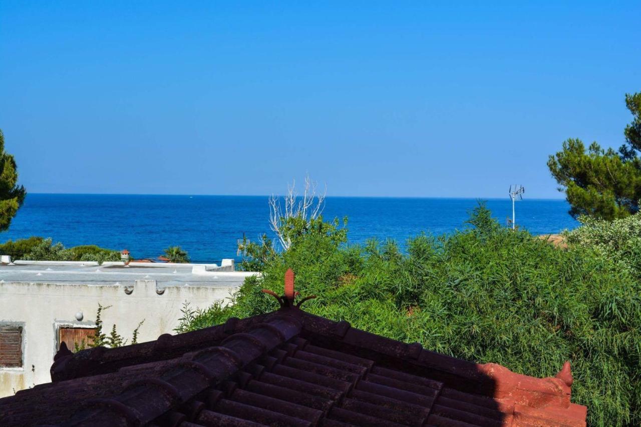 Sofia'S Seaview Villa Near Airport And Beach Artemida  Exteriör bild